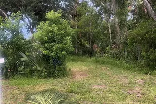 1723 Ave B, Ormond Beach, FL 32174 - Photo 1