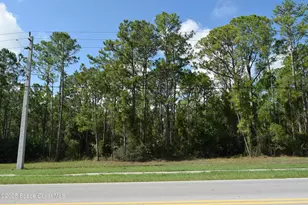 206 Emerson Dr NW, Palm Bay, FL 32907 - Photo 1