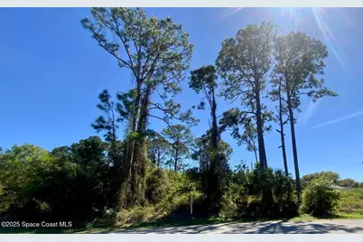 730 Firestone Street NE, Palm Bay, FL 32907 - Photo 1