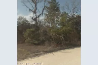 0 NE 65th Lane, Bronson, FL 32621 - Photo 1
