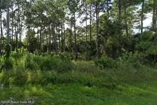 724 Daniels Ave SW, Palm Bay, FL 32908 - Photo 1