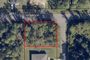 3200 Halacka (Cor Hallmark) Ave SE, Palm Bay, FL 32909 - Photo 1