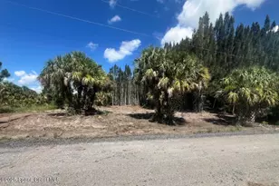 2328 Abaco Ave SW, Palm Bay, FL 32908 - Photo 1