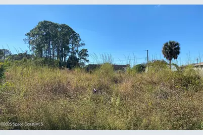 2612 Palmer Avenue SE, Palm Bay, FL 32909 - Photo 1