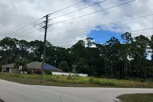 0000 Gaynor Dr SW, Palm Bay, FL 32908 - Photo 1