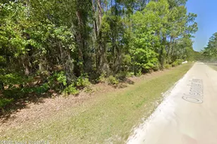 4132 Orleander Ave, Bunnell, FL 32110 - Photo 1