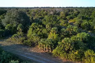 719 Steward Street SW, Palm Bay, FL 32908 - Photo 1