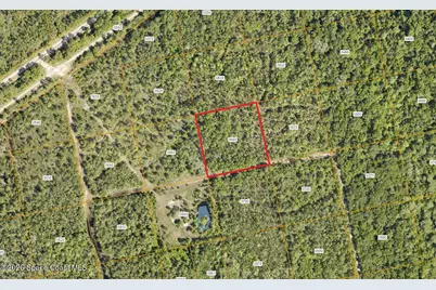 0000 Unknown Road, Oak Hill, FL 32759 - Photo 1