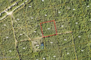 0000 Unknown Rd, Oak Hill, FL 32759 - Photo 1