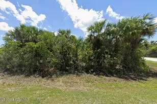 3201 Mockinbird Ave SW, Palm Bay, FL 32908 - Photo 1