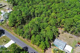 341 Danis Rd SW, Palm Bay, FL 32908 - Photo 1