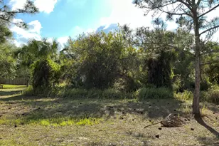1741 Hamilton Ave SW, Palm Bay, FL 32908 - Photo 1