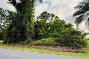 0000 Thames Street SE, Palm Bay, FL 32909 - Photo 1