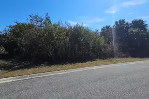 1425 Barrow Ln, Malabar, FL 32950 - Photo 1
