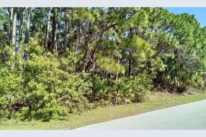 473 Galhouse Street SW, Palm Bay, FL 32908 - Photo 1