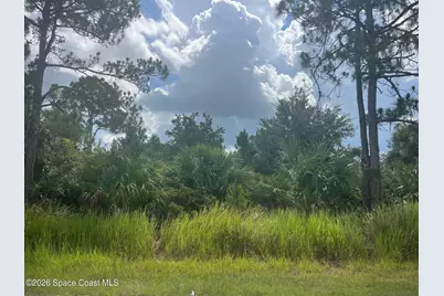541 Windswept Avenue SW, Palm Bay, FL 32908 - Photo 1