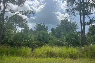 541 Windswept Ave SW, Palm Bay, FL 32908 - Photo 1