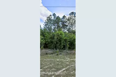 9606 N Lecanto Highway, Citrus Springs, FL 34434 - Photo 1