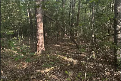 0 L Cooper Road, Cameron, NC 28326 - Photo 10