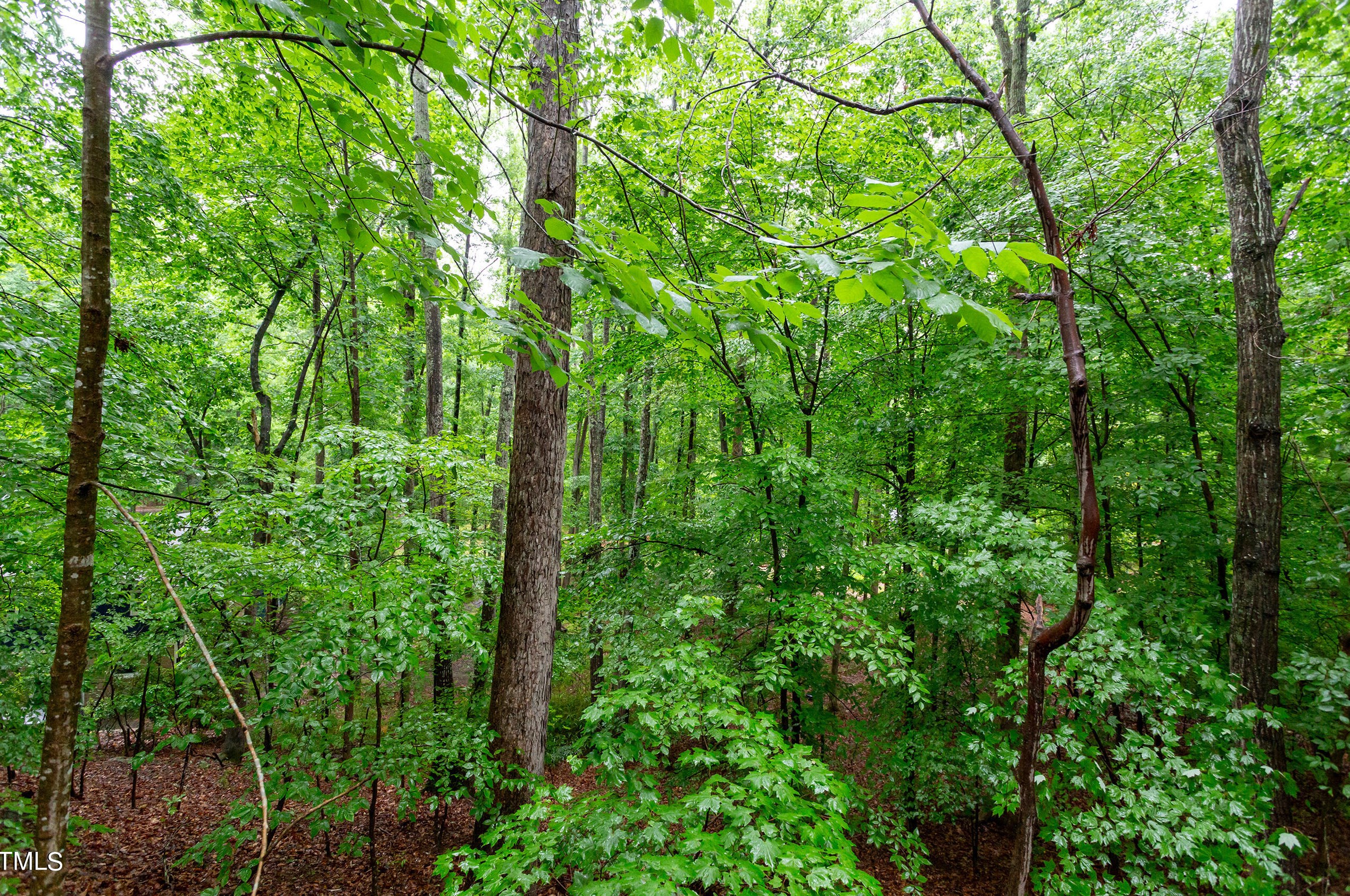 616 Beechtree Ct, Chapel Hill NC 27514-6702 exterior