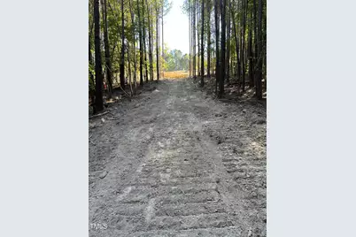 70 White Sound Way, Pittsboro, NC 27312 - Photo 4