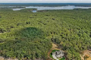 316 Firefly Overlook, Pittsboro, NC 27312 - Photo 96