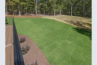 316 Firefly Overlook, Pittsboro, NC 27312 - Photo 90
