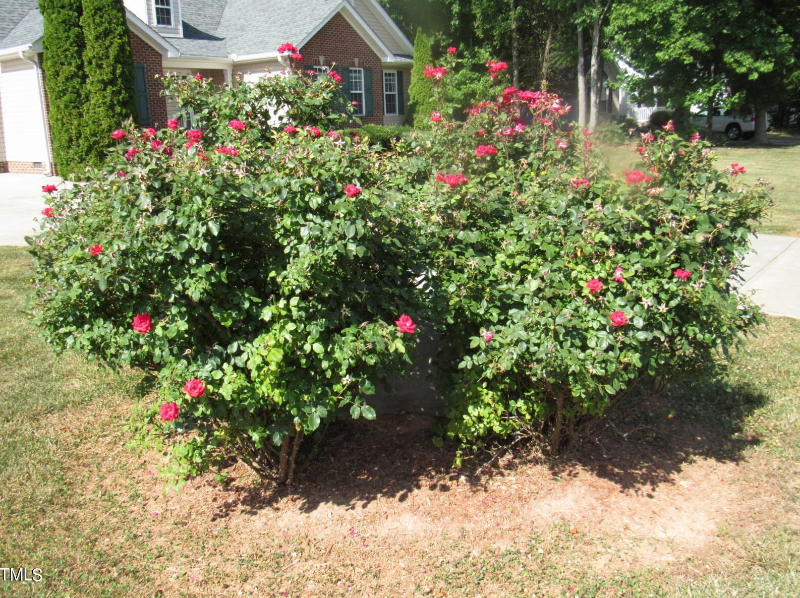 3639 Ashton Glen Ln, Oxford NC 27565-9540 exterior