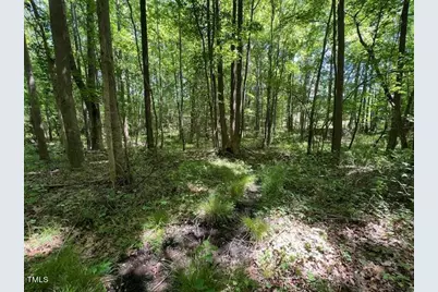 4724 Sunset Lake Road, Apex, NC 27539 - Photo 6