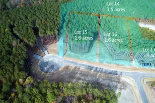 37 Green Turtle Ln, Pittsboro, NC 27312 - Photo 96