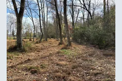 345 Buck Gunter Road, Siler City, NC 27344 - Photo 14