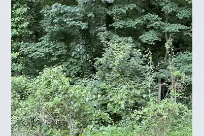 3213 Marie Drive, Raleigh, NC 27604 - Photo 8