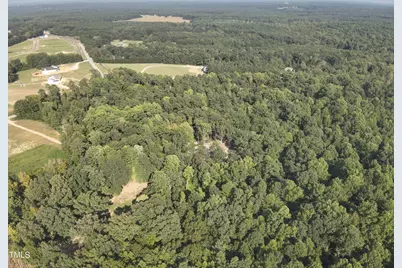 30 Peach Blossom Court, Louisburg, NC 27549 - Photo 12