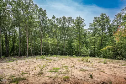 30 Peach Blossom Court, Louisburg, NC 27549 - Photo 8