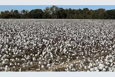 8400 Shallow Creek Trail #(Model Home), Bailey, NC 27807 - Photo 22