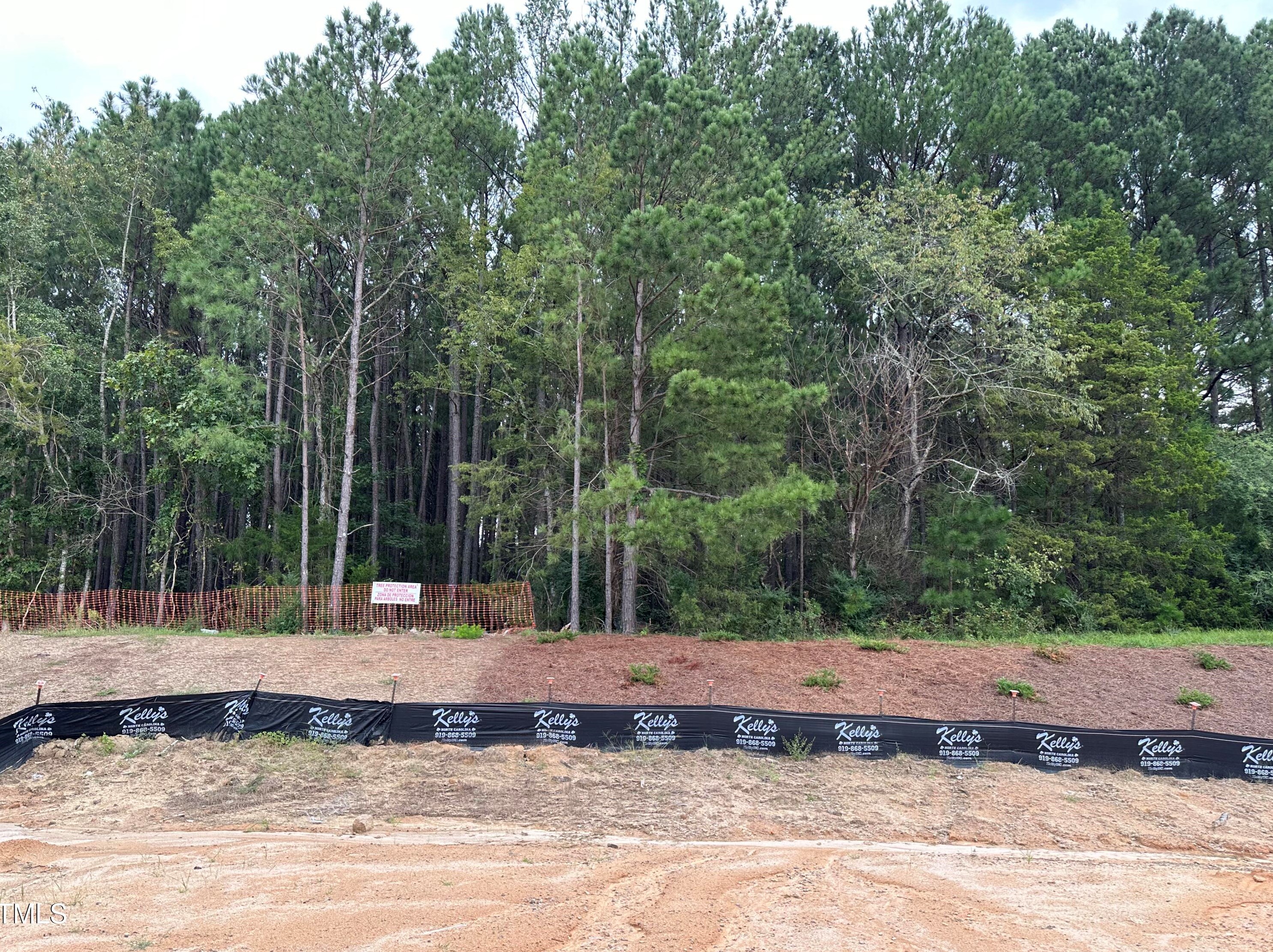 4121 Shadbush St #madison, Raleigh, NC 27616