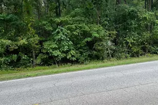 Lot 2 US 264A, Bailey, NC 27807 - Photo 1