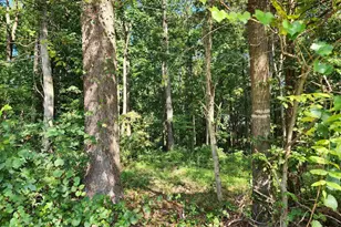 1565 Bowers Store Rd, Siler City, NC 27344 - Photo 44