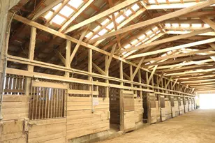 455 Hogan Farm Rd, Seagrove, NC 27341 - Photo 34