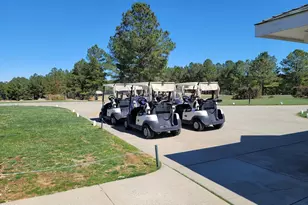 149 Brandy Mill, Pittsboro, NC 27312 - Photo 58