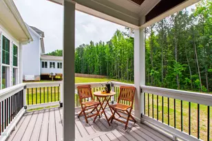 617 Darian Woods Dr, Holly Springs, NC 27540 - Photo 62