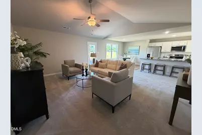 29 Pate Landing Drive, Selma, NC 27576 - Photo 16