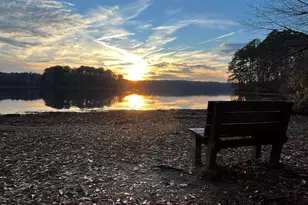 172 Bonica Creek Dr, Garner, NC 27529 - Photo 1