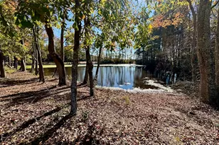 19 Covey Rise Wy, Lillington, NC 27546 - Photo 54