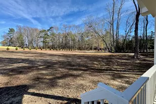 45 Covey Rise Wy, Lillington, NC 27546 - Photo 56