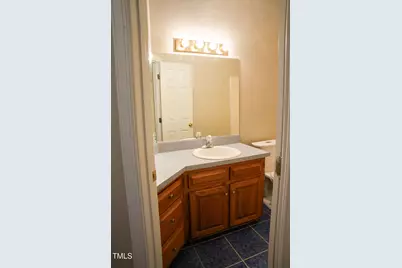 6101 Valentine Street, Zebulon, NC 27597 - Photo 46