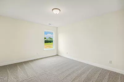 243 Kissington Way, Benson, NC 27504 - Photo 46