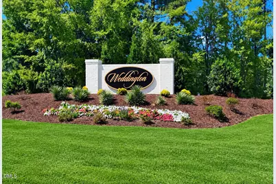 243 Kissington Way, Benson, NC 27504 - Photo 48
