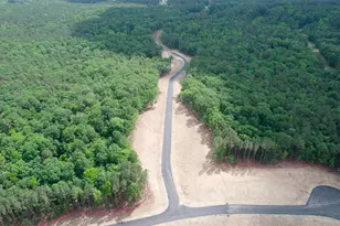 432 Firefly Overlook, Pittsboro, NC 27312 - Photo 28