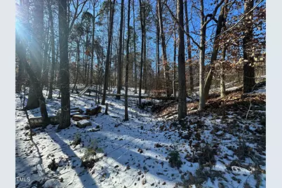 Tbd Quail Roost Drive, Semora, NC 27343 - Photo 28